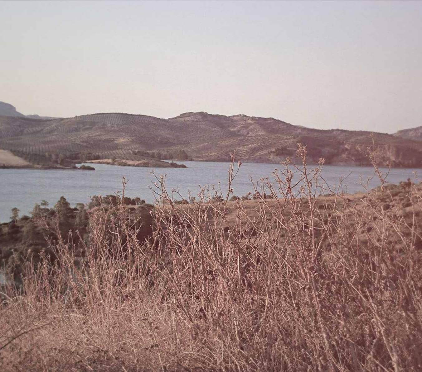 Test_ZyxLDDjvwX HIZFQYhCGq