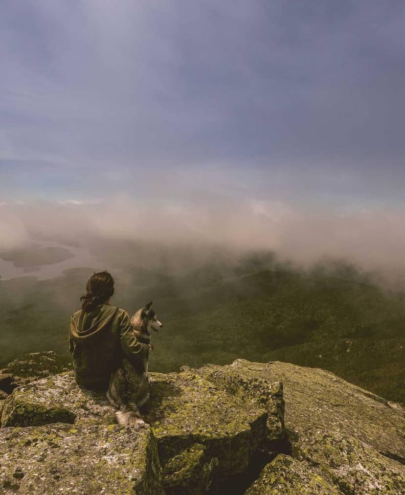 Unauth title wLbYRhjs